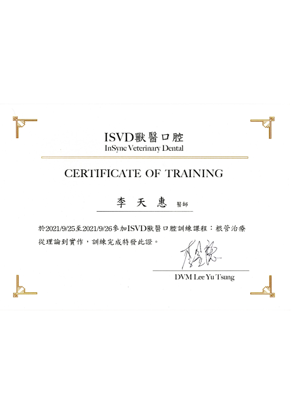 ISVD:根管治療從理論到實作