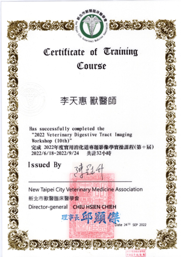 實用消化道專題影像學實操課程